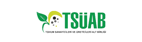 tsüab